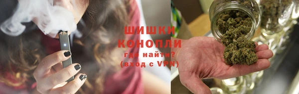 СК Бородино