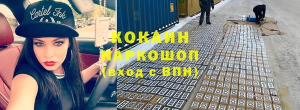 СК Бородино