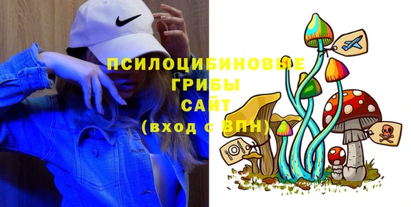 мдпв Бугульма