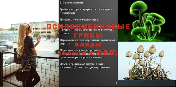 мдпв Бугульма
