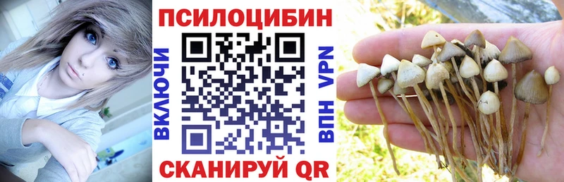 MEGA зеркало  Катайск  shop как зайти  Галлюциногенные грибы GOLDEN TEACHER 